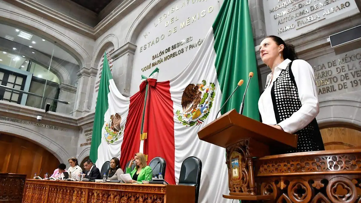 diputada mónica álvarez nemer