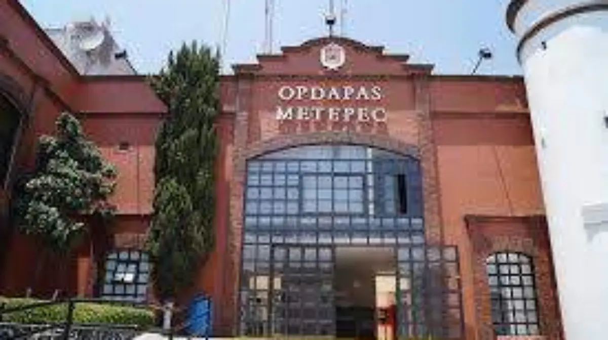 opdapas metepec