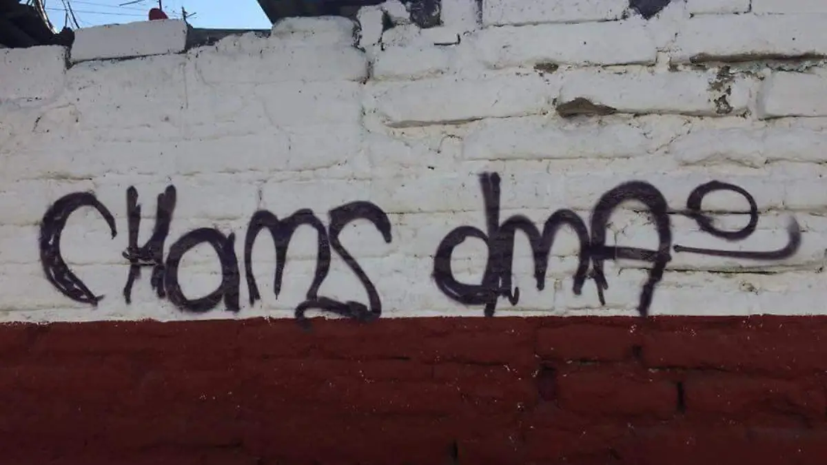 grafi