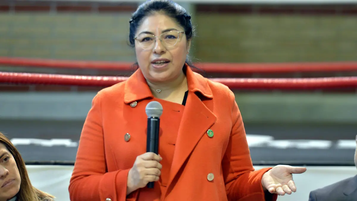 PENAL TENANGO06
