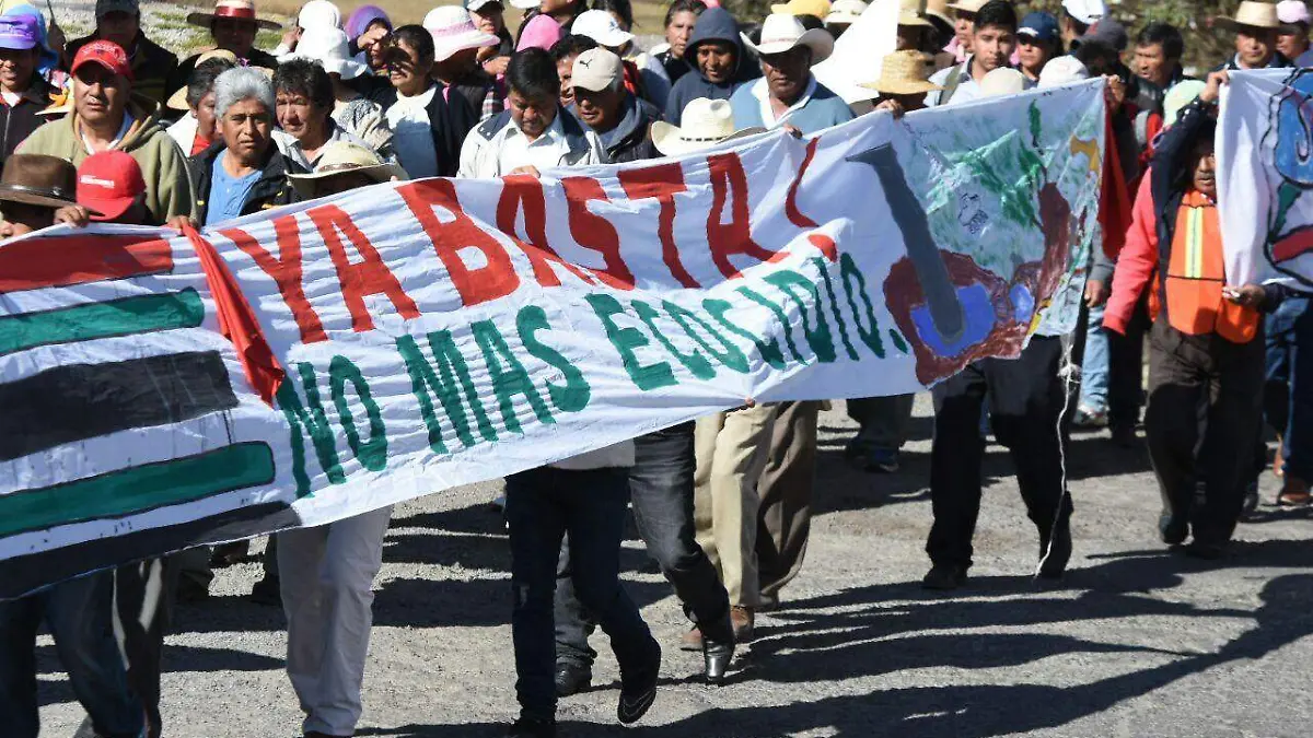 manifestación