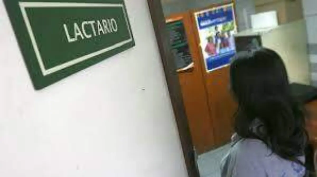 lactario
