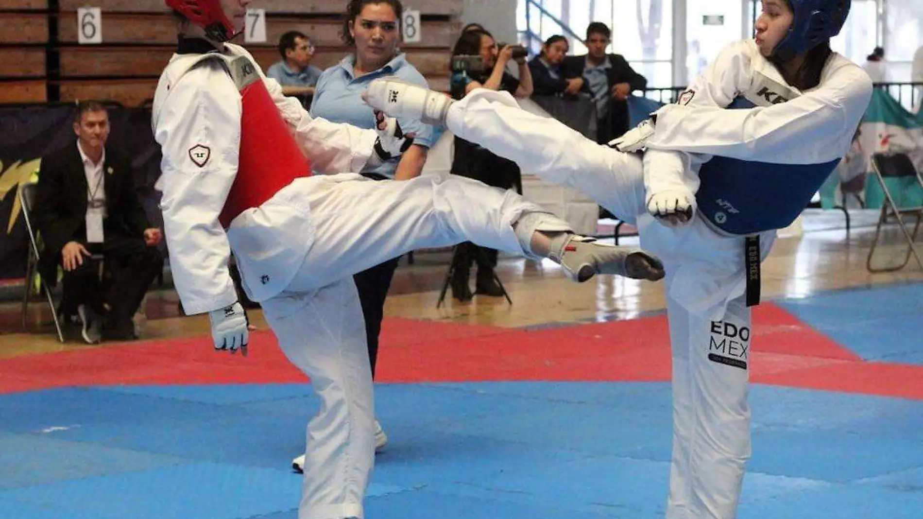 Taekwondo1