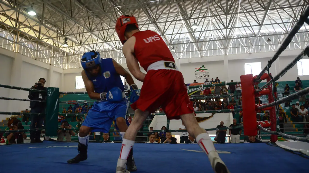 Boxeadores1