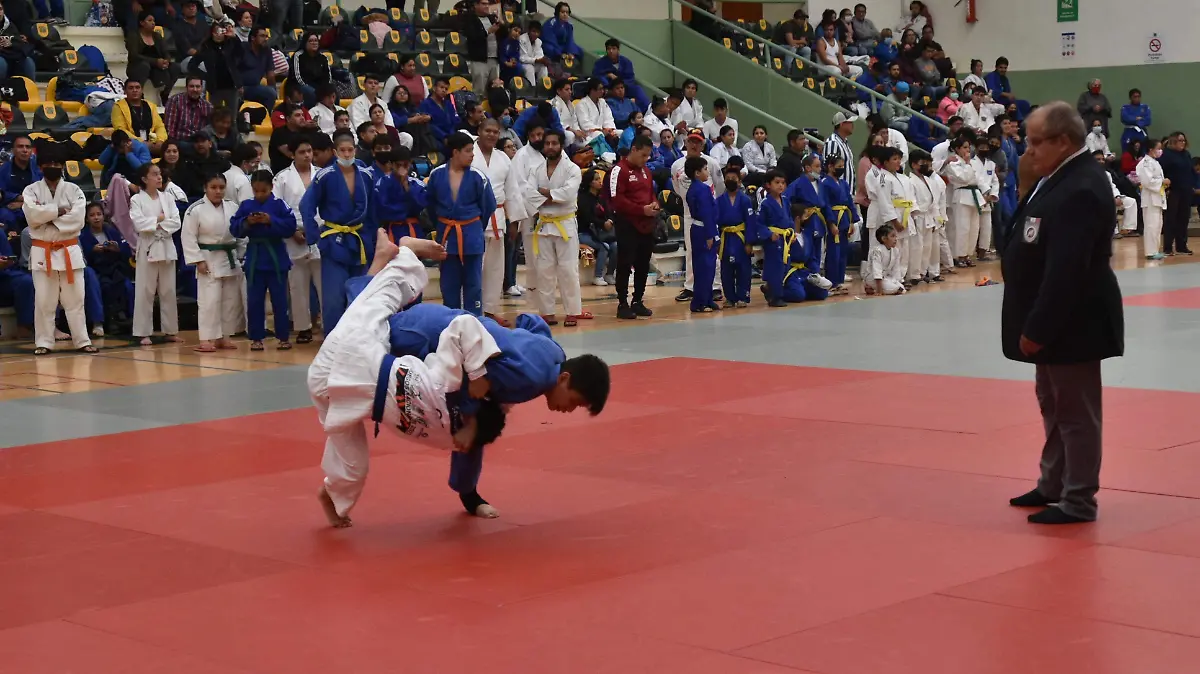 Judo2