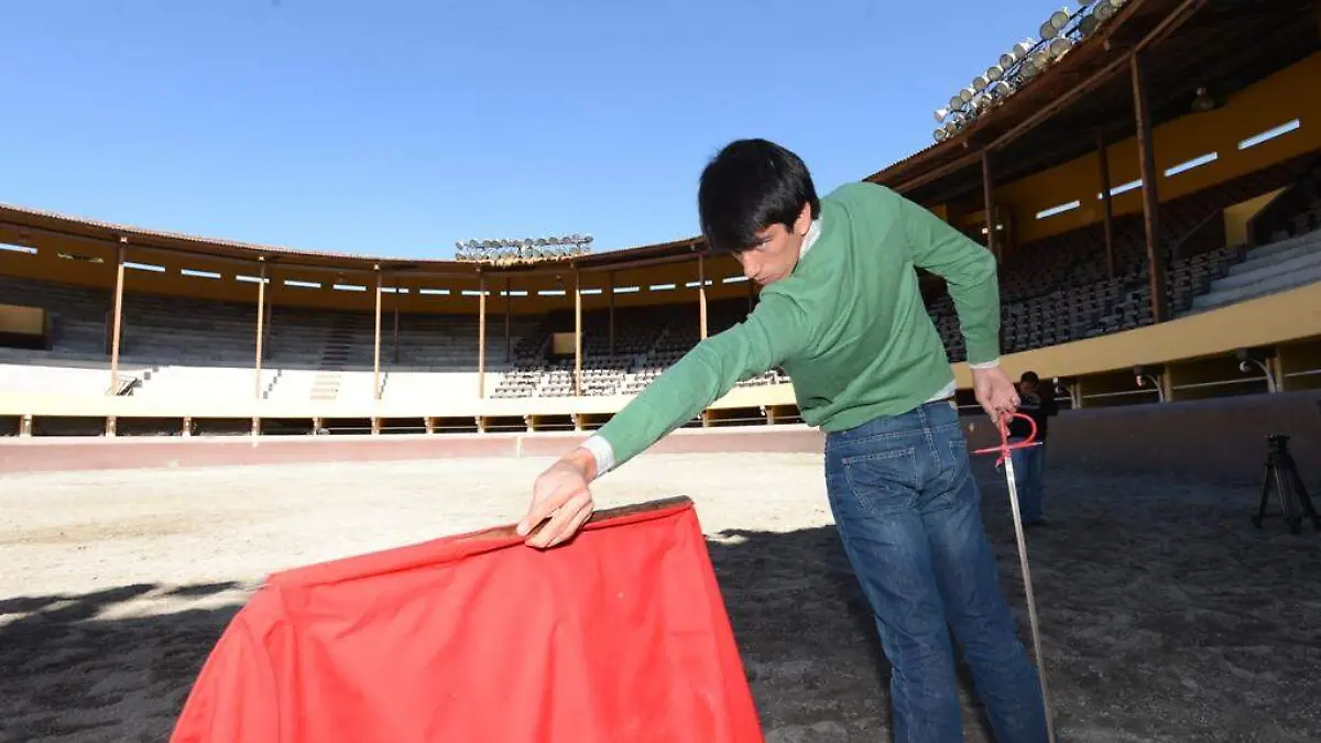 Toros1