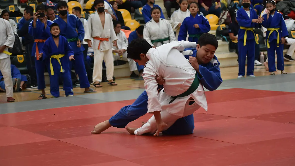 Judo1