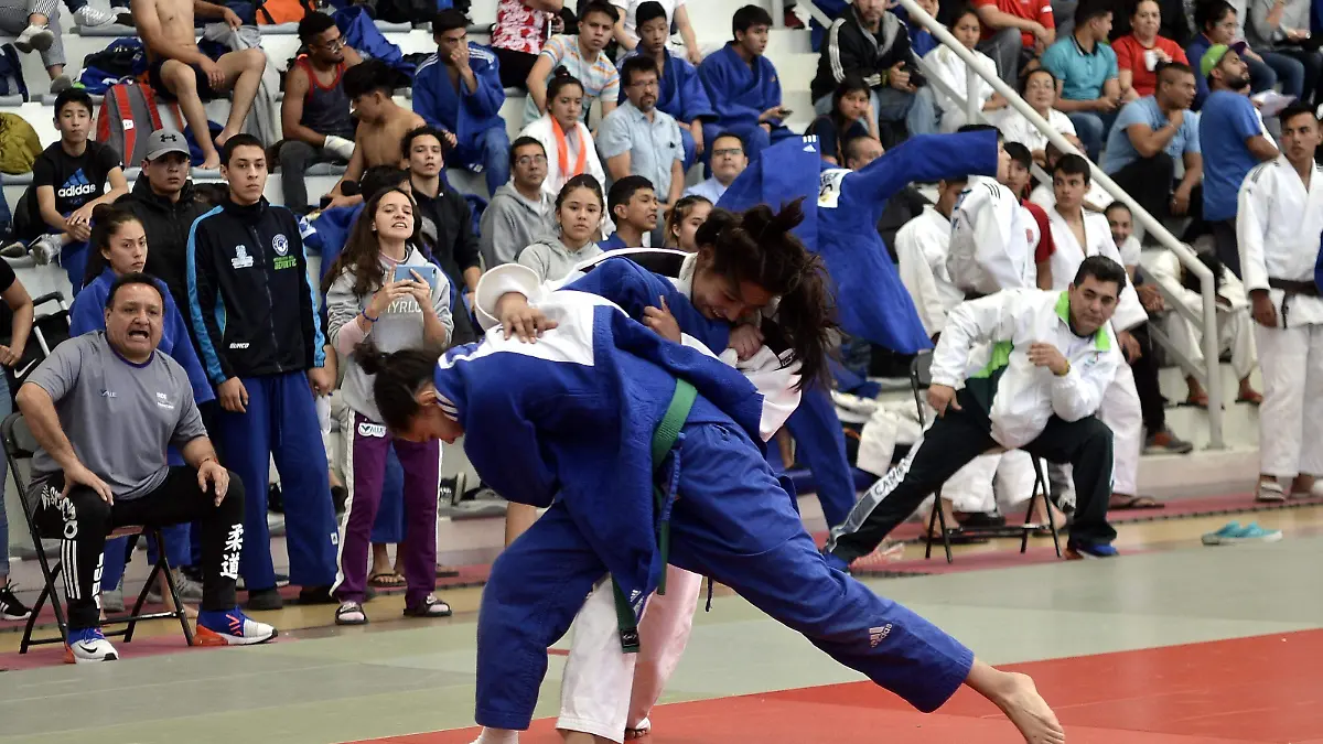 Judo1