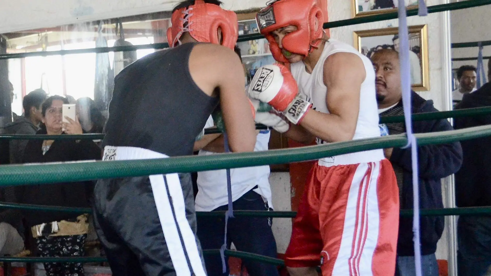 Boxeo1