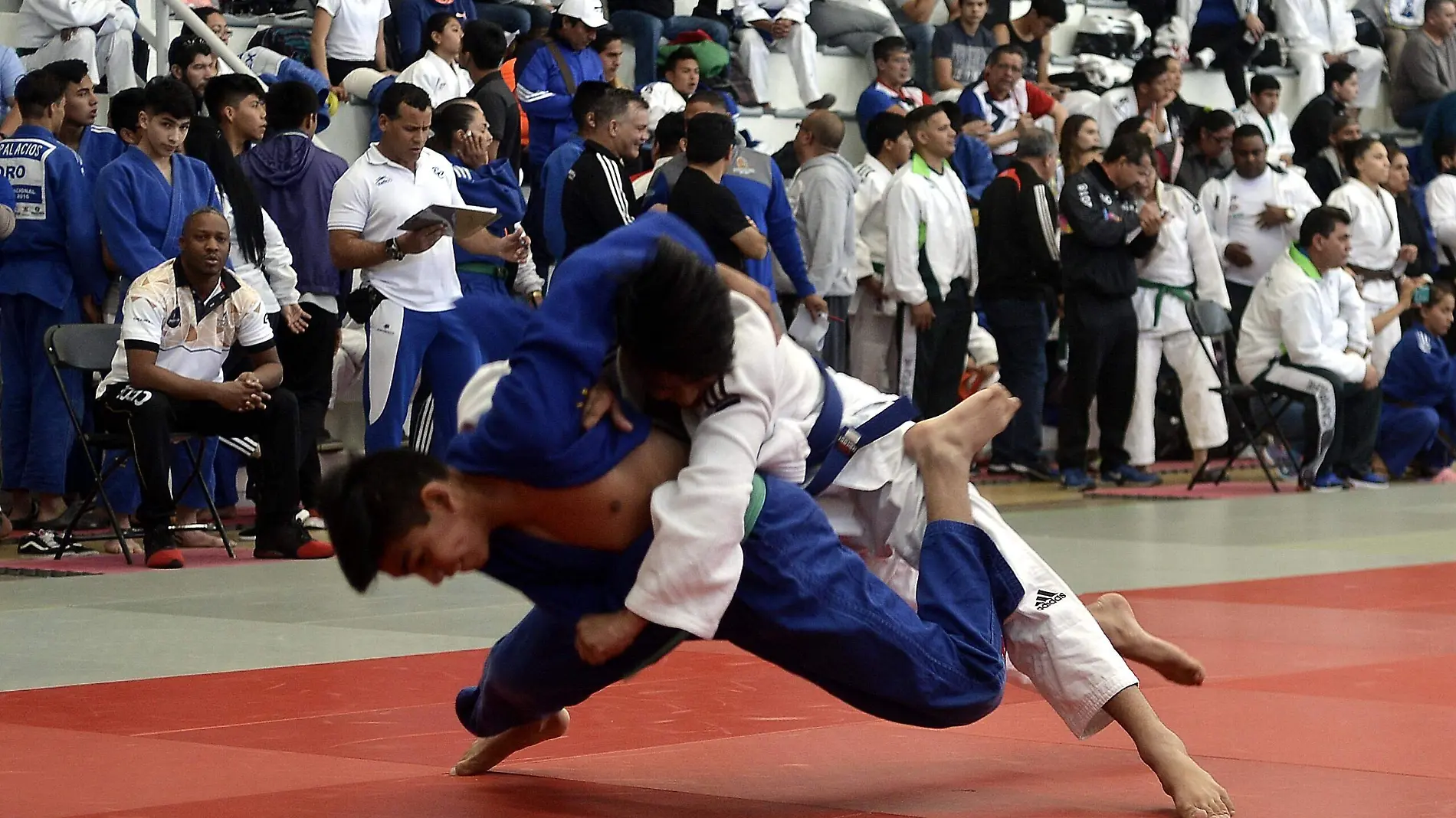 Judo1