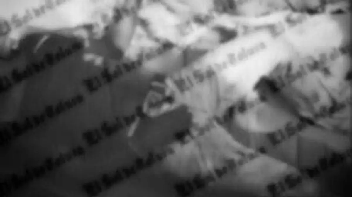 e14643f0-eea5-4b81-8f6f-fdd113a92ee2