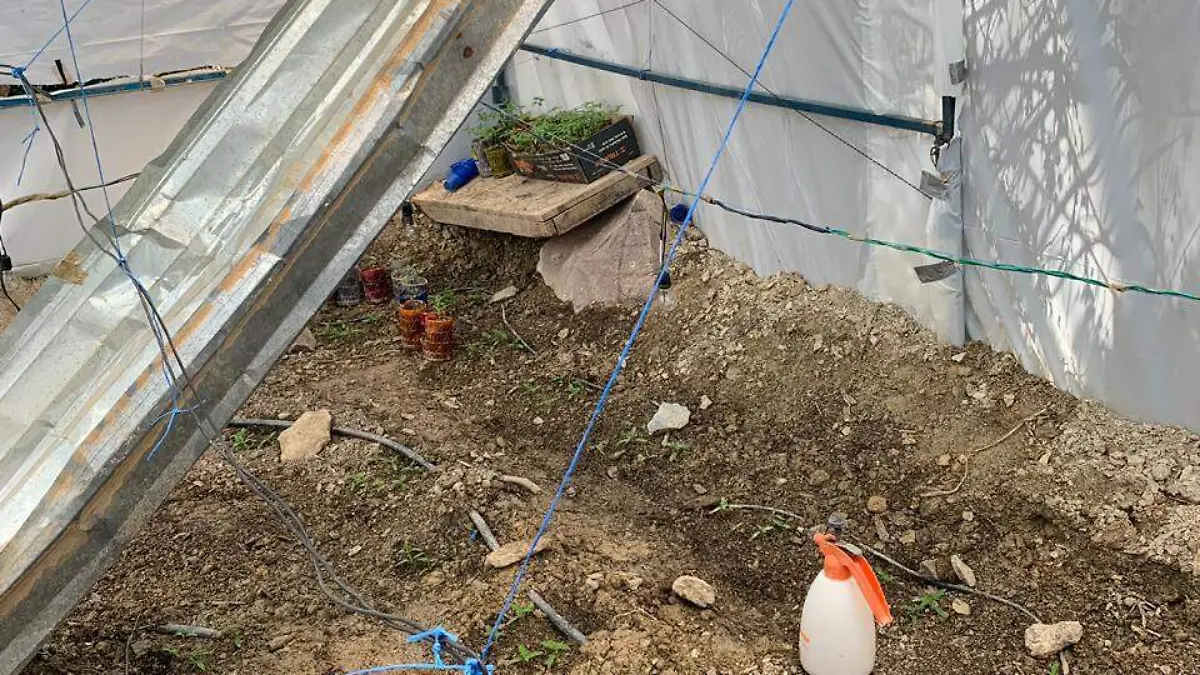 2169b31e-e9cc-406a-997a-762be7a092d4