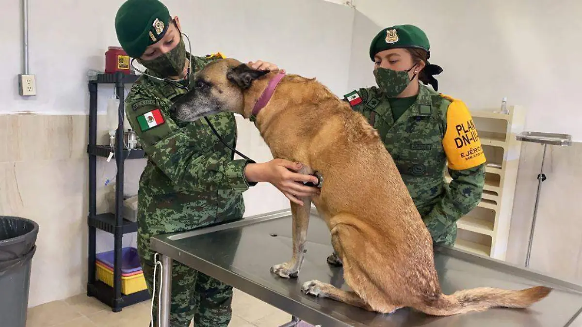 Image 2021-06-30 at 18.41.52