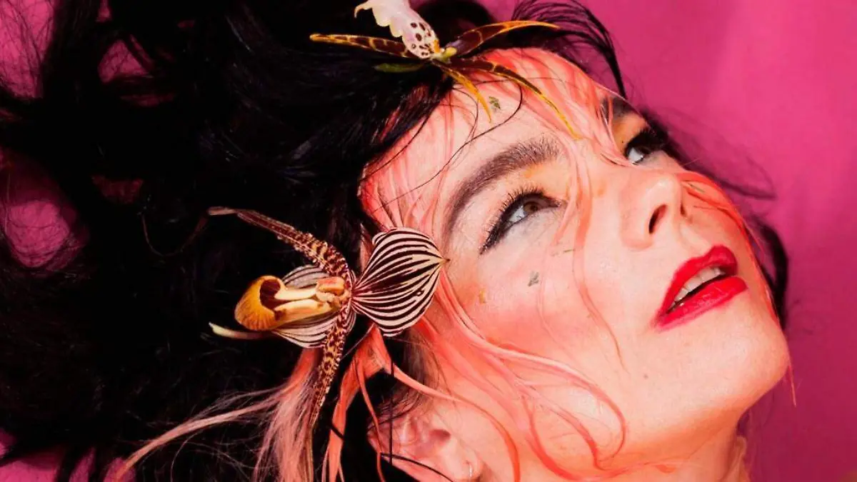 bjork-cornucopia-mexico