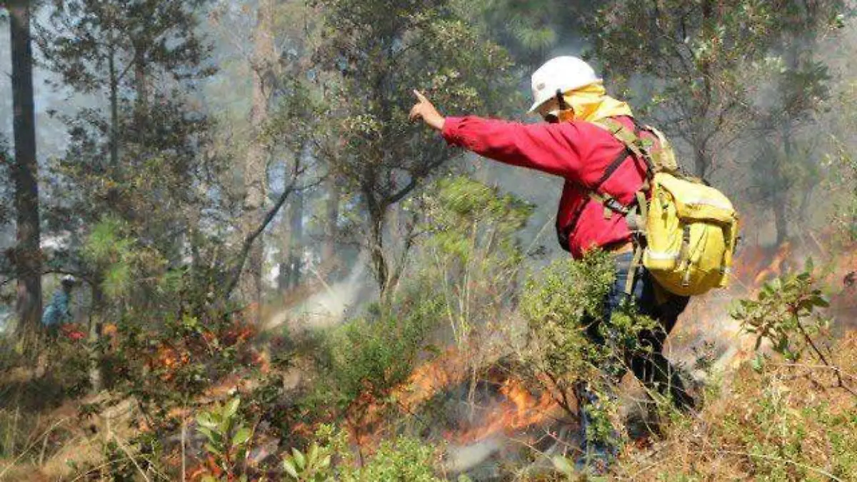 incendios forestales