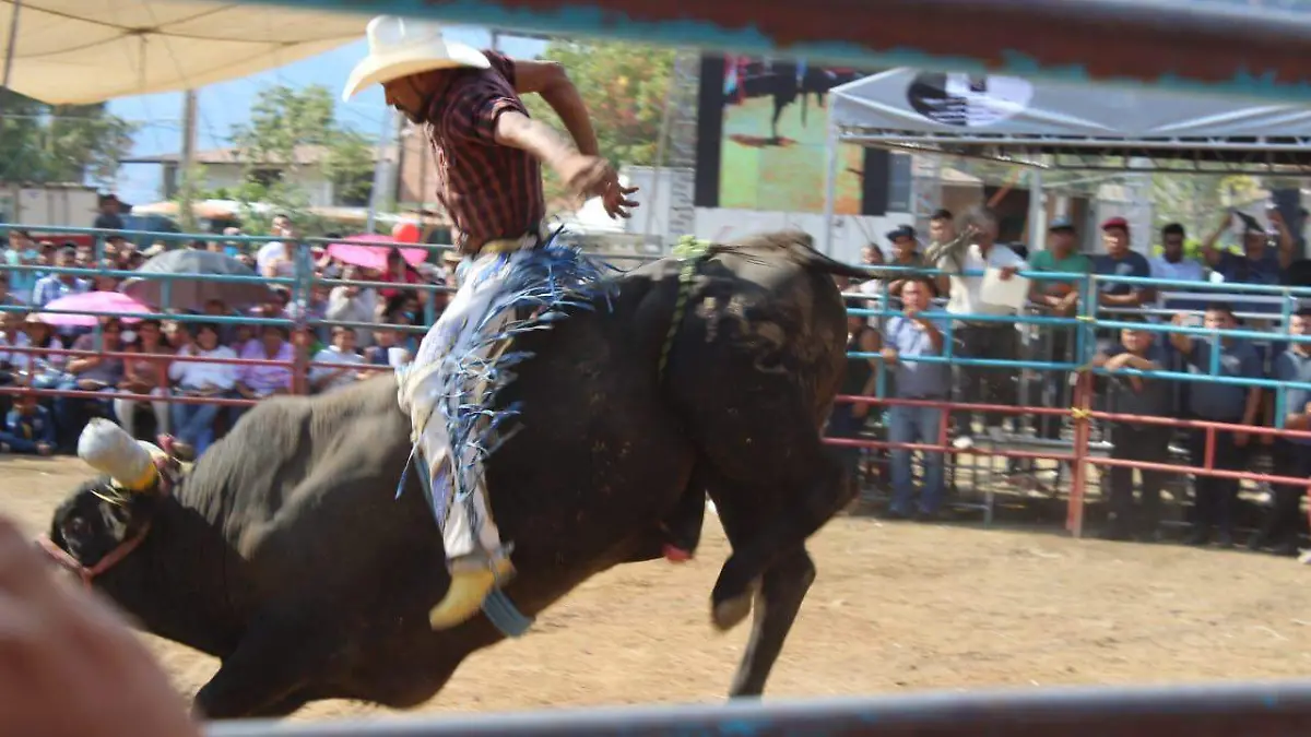 jaripeo