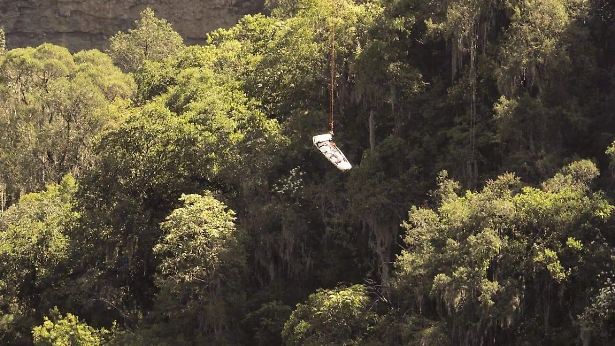 cc883974-43f0-43c4-959d-52bb46f1cd1b