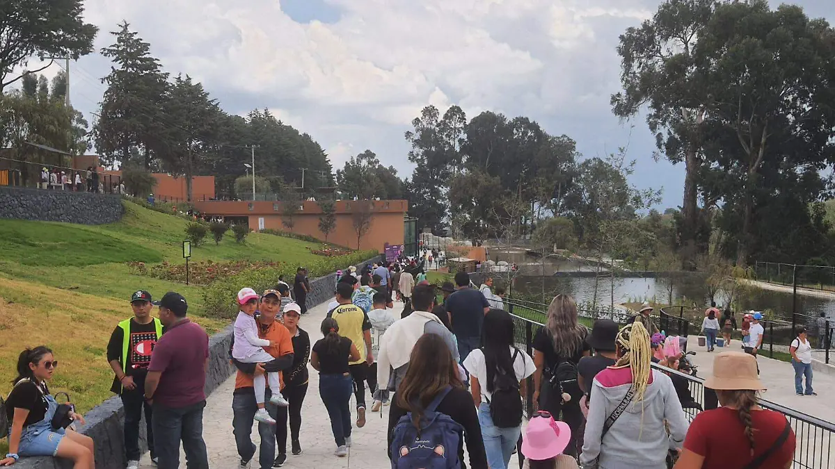 Image 2023-09-16 at 13.17.05