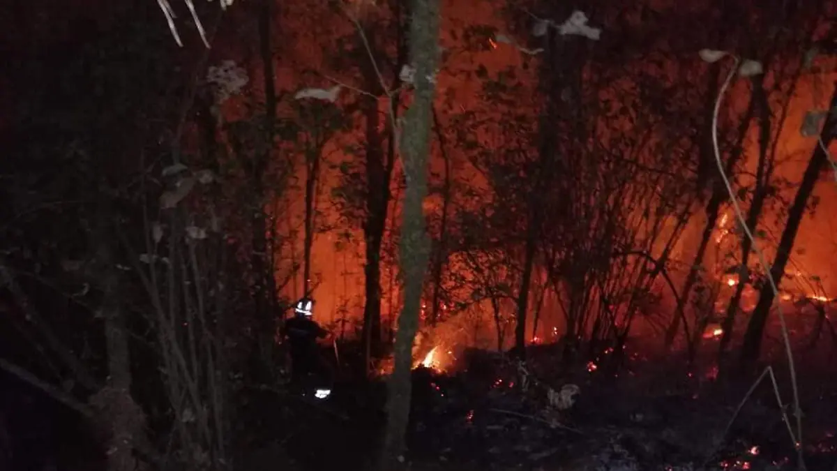 IncendiosForestales_BomberosValledeBravo1