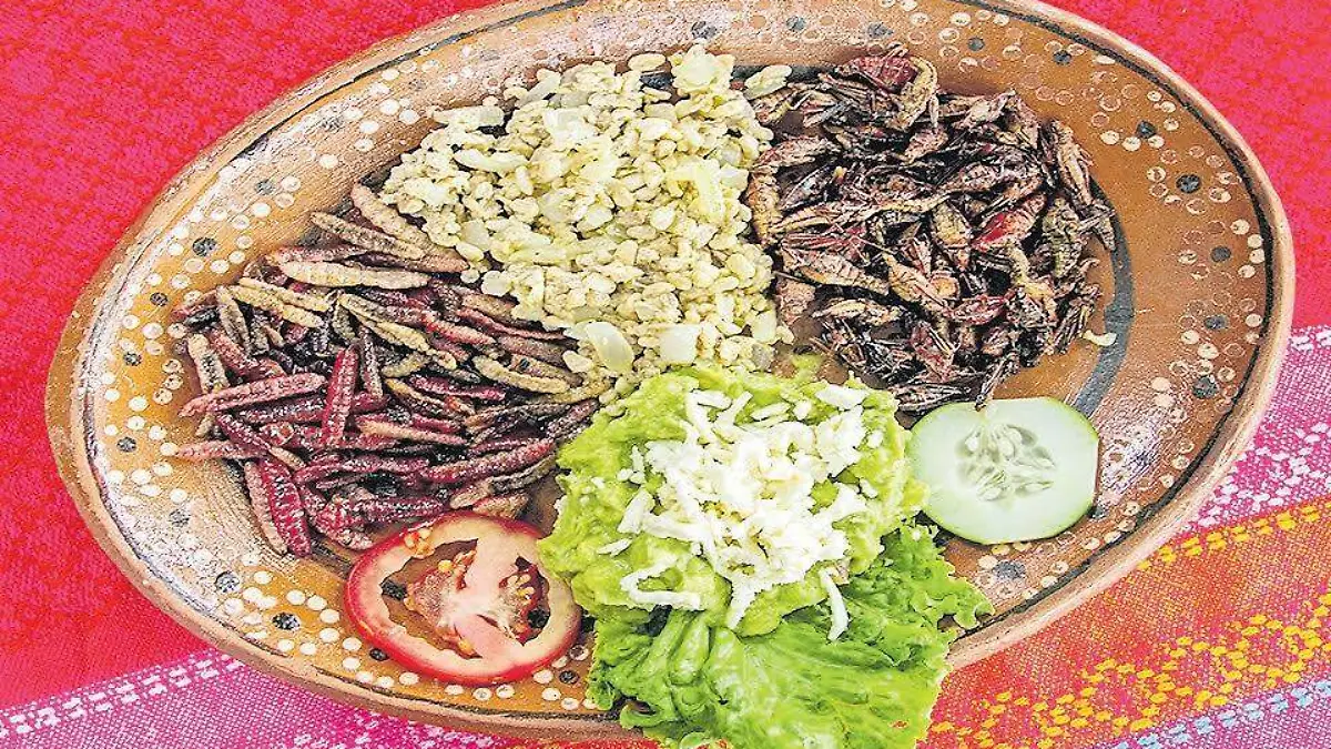 comida