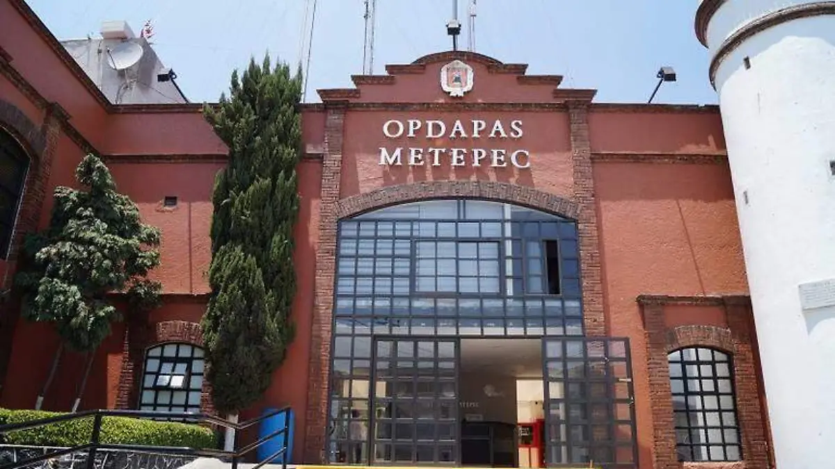 opdapas metepec