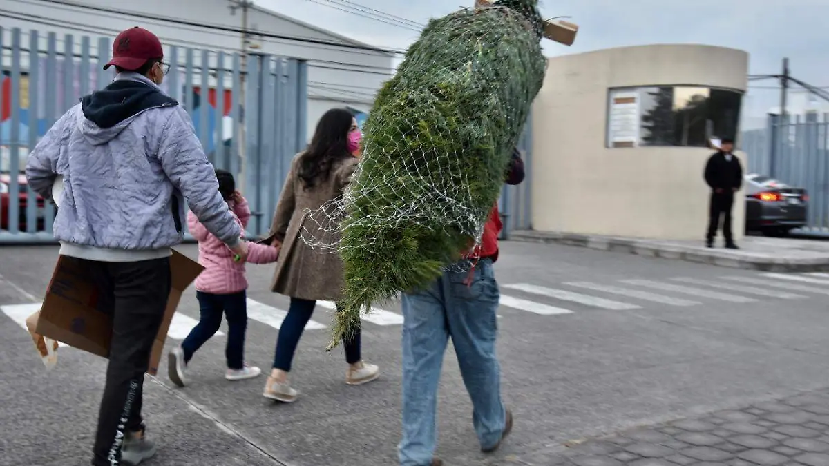 árboles de NAvidad 2021