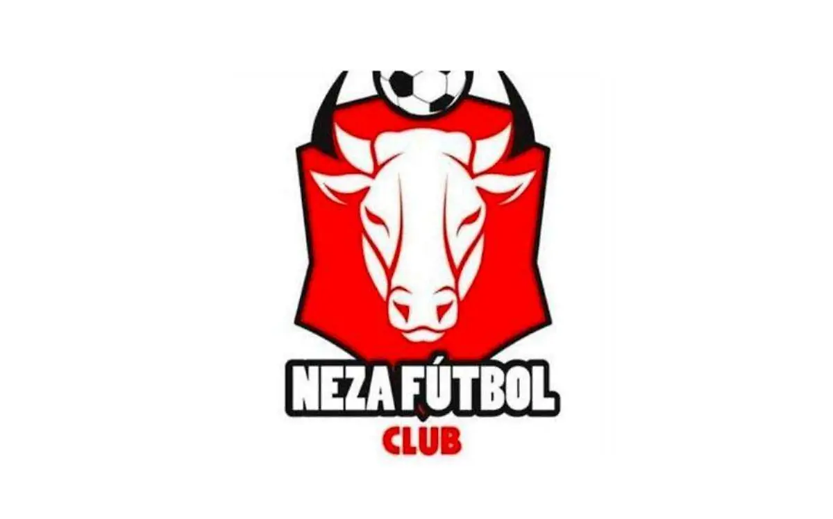 toros neza