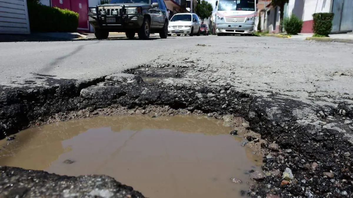 Baches