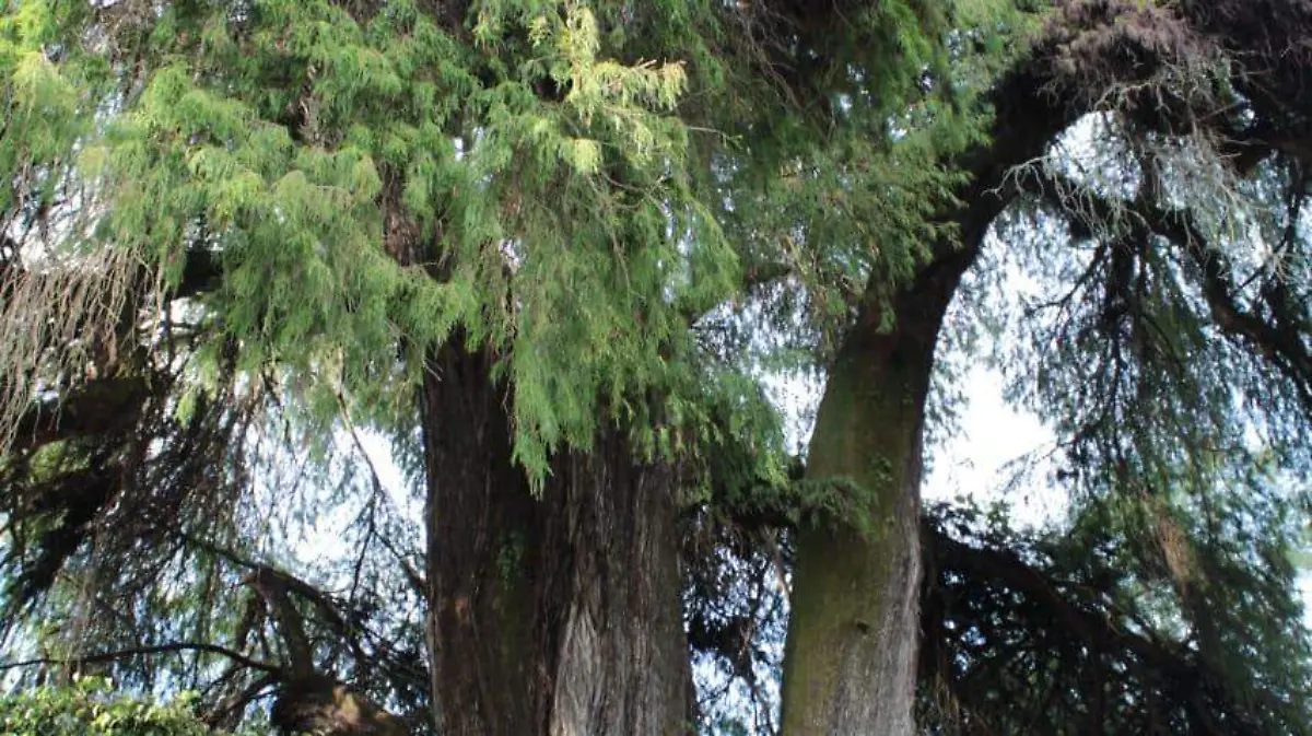 05c2d3c9-068f-4795-8feb-9194f067abf2