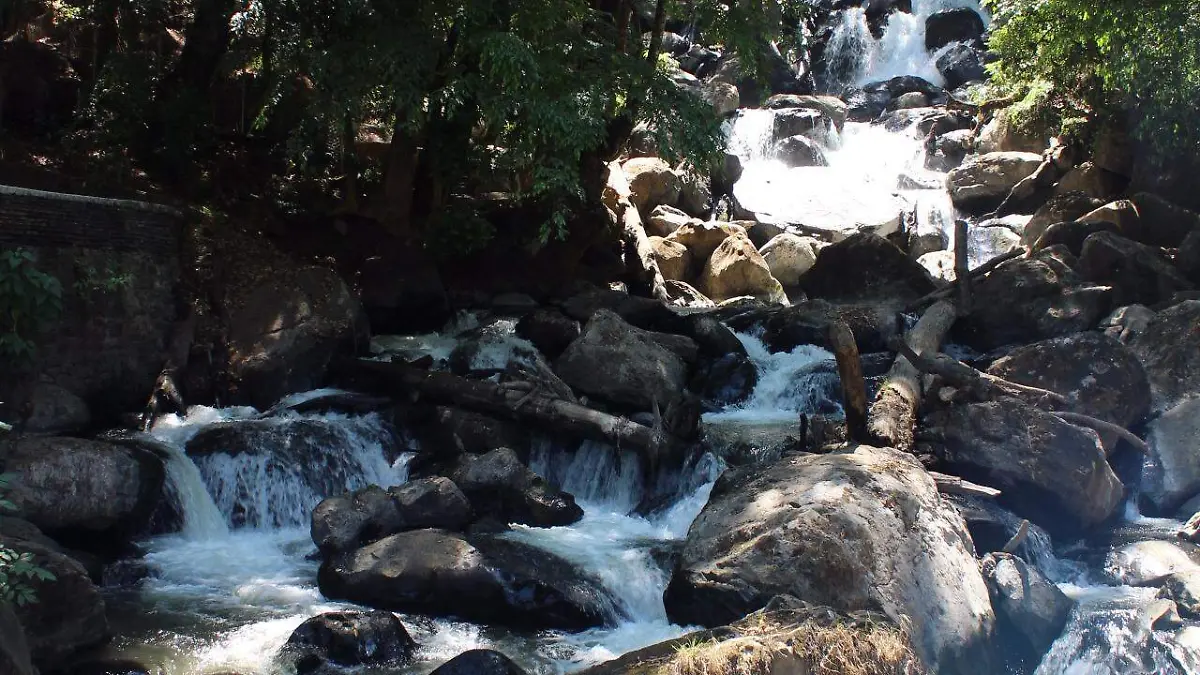 20200411114044_IMG_4703