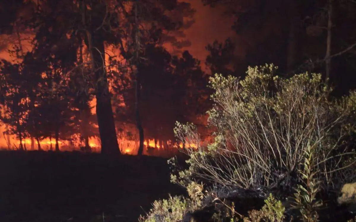 INCENDIO OZUMBA