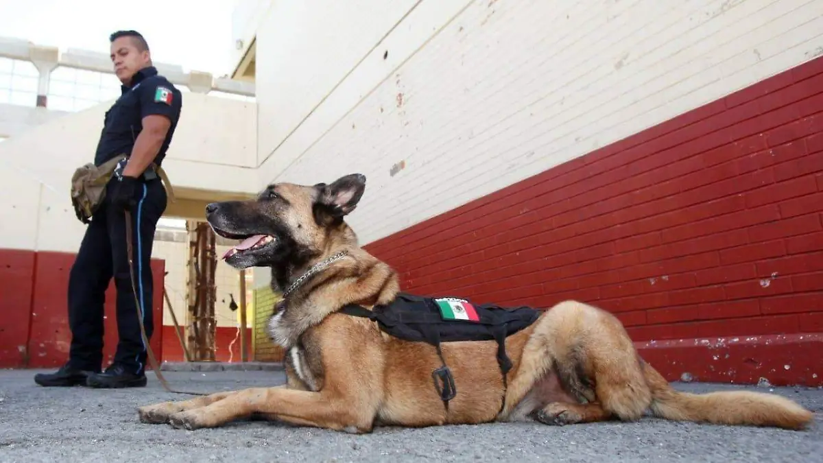 WhatsApp Image 2019-03-11 at 12.44.22