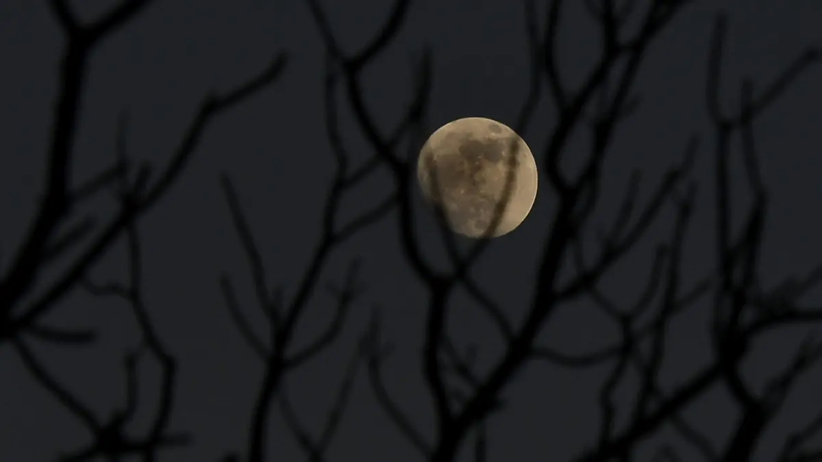LUNA (2)