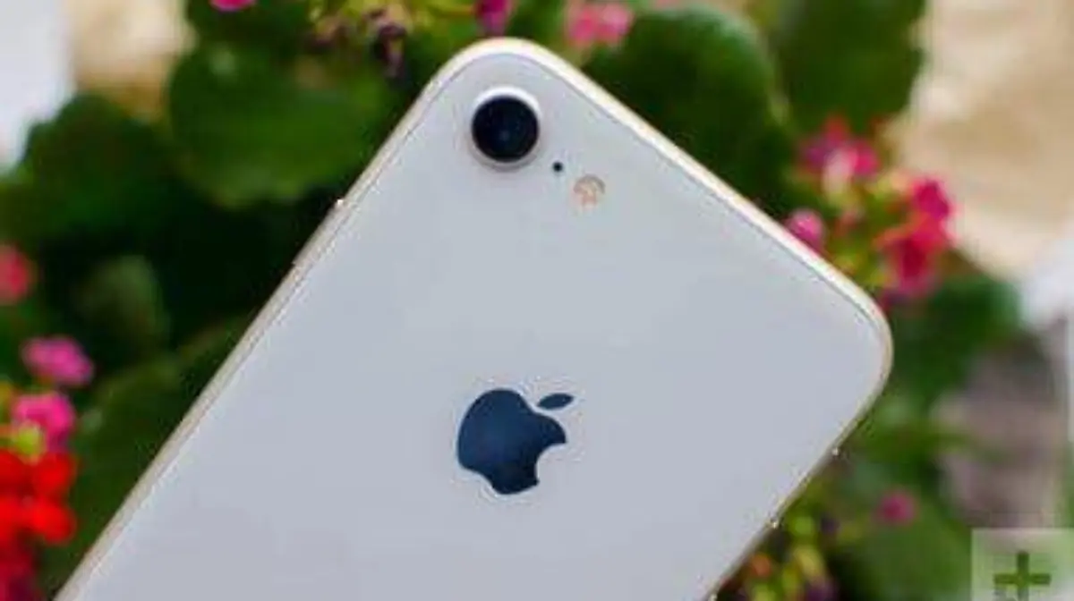 iphone-8-update-flowers-382x238-c