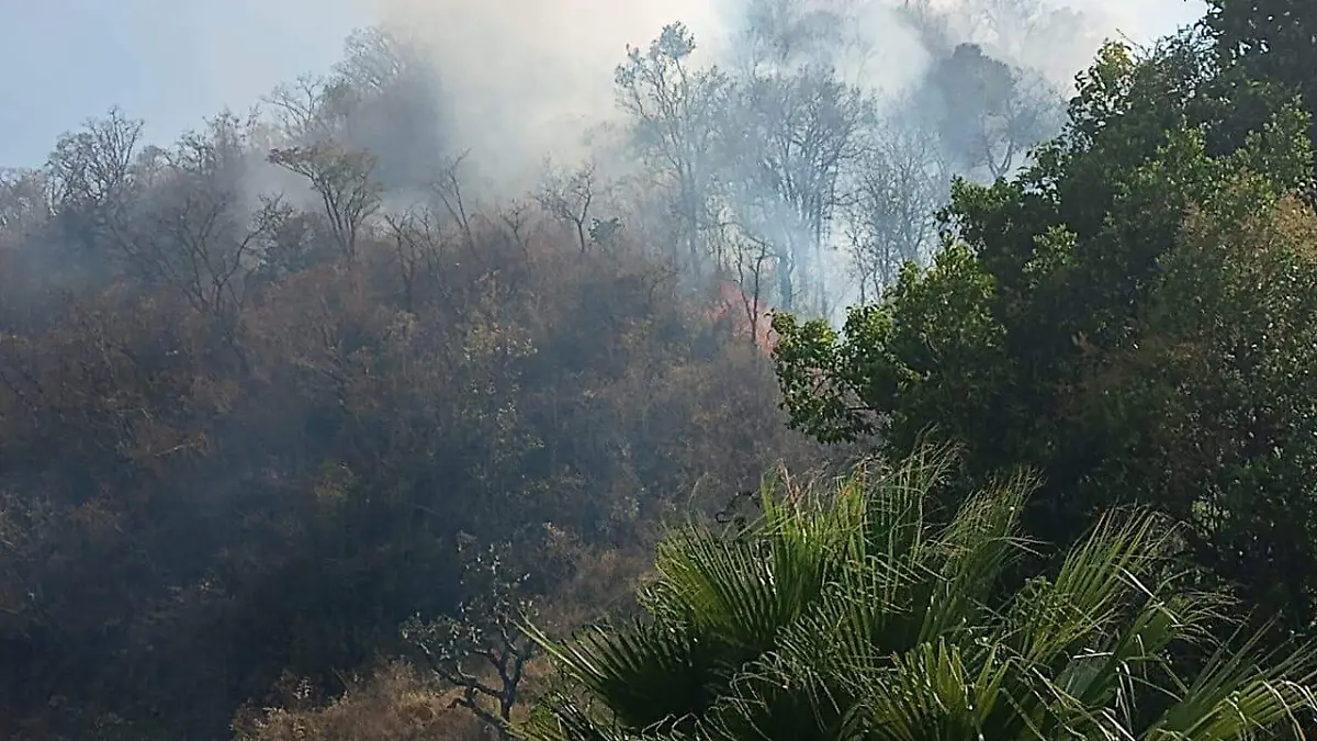 343947936_199186216292604_3094797289484687535_n