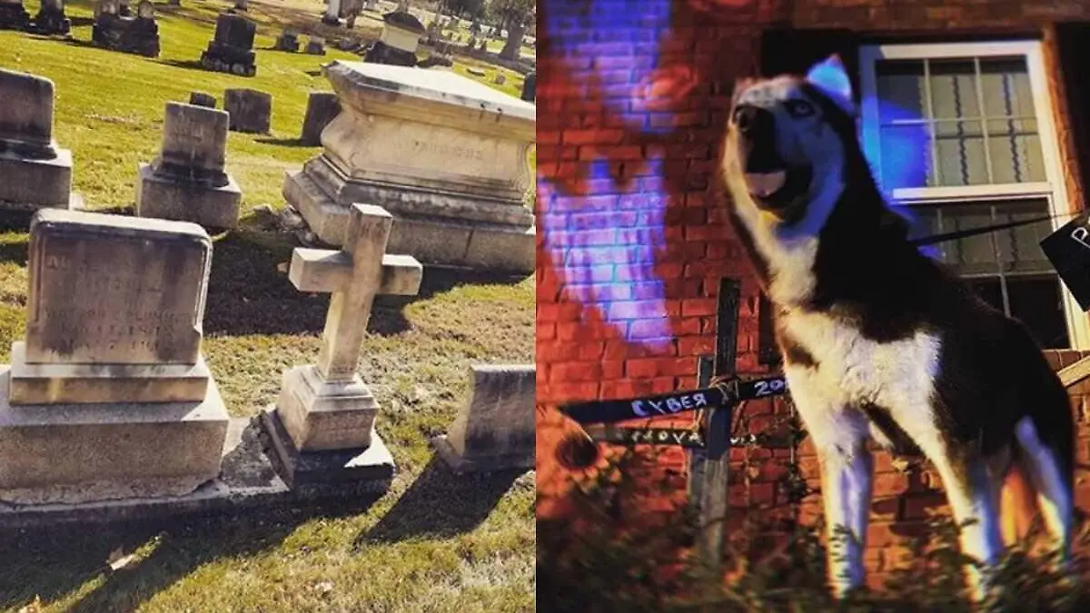 Perro-que-fue-enterrado-vivo-por-error-logra-escapar-cementerio-mascotas