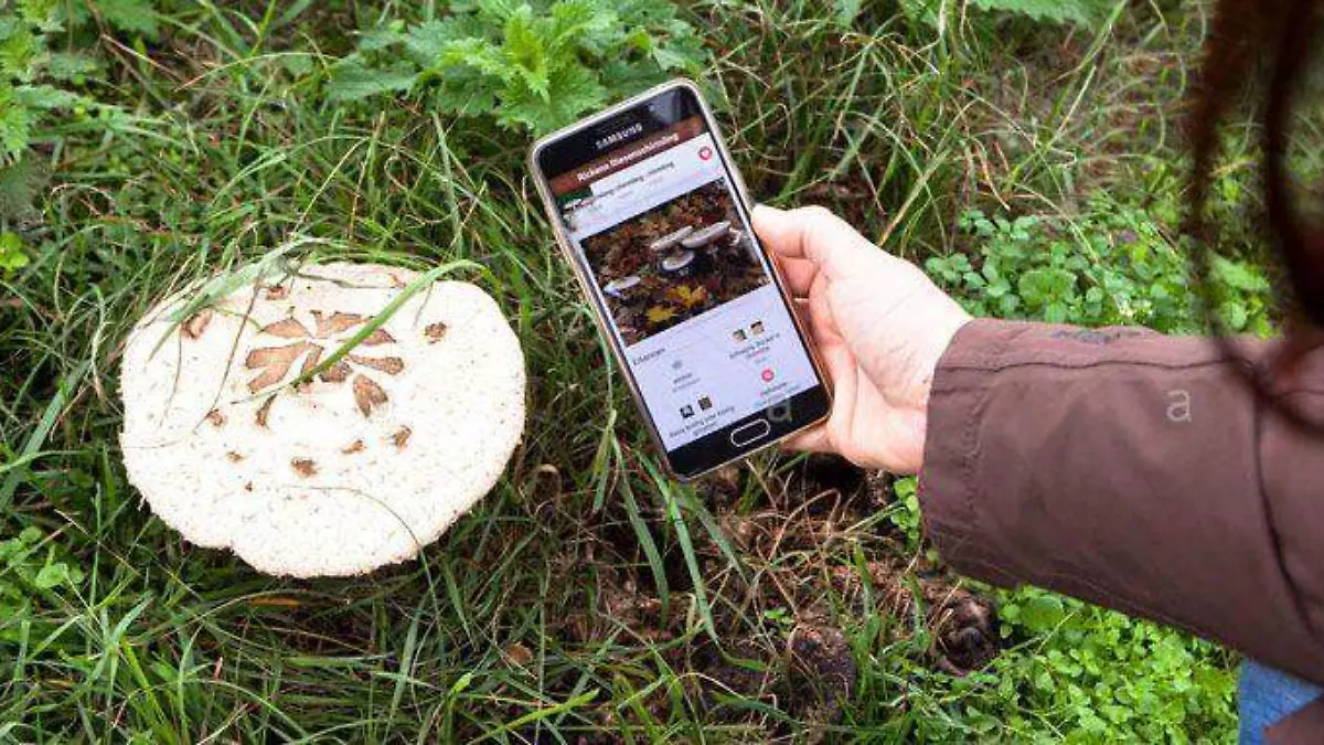 apps-para-buscar-setas