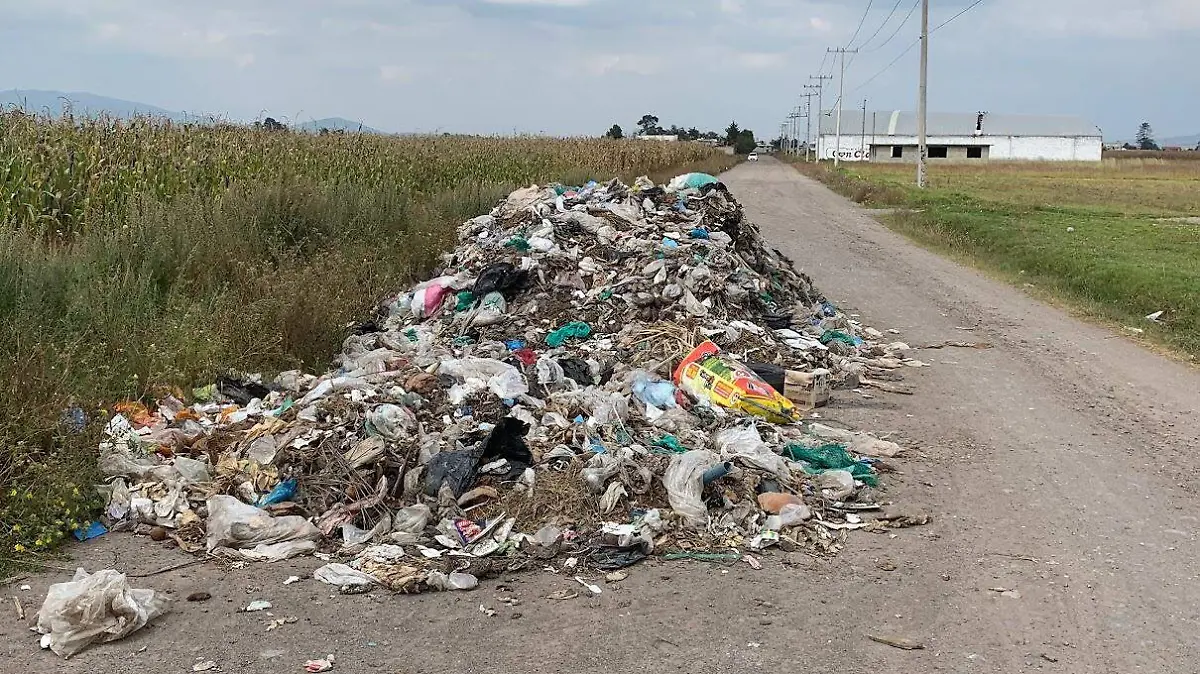 basura edomex 1