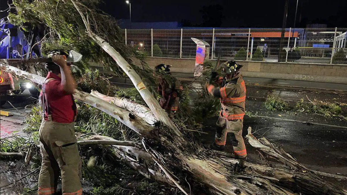 Image 2021-04-29 at 09.31.34-3