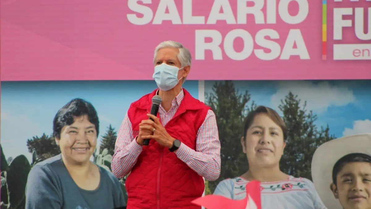 a2d9d08a-6d94-4e3e-9390-f6da99cdb95f