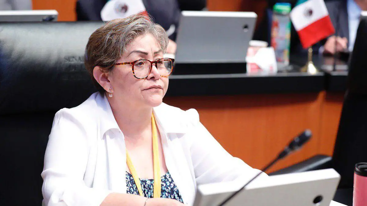 senadora-martha-guerrero