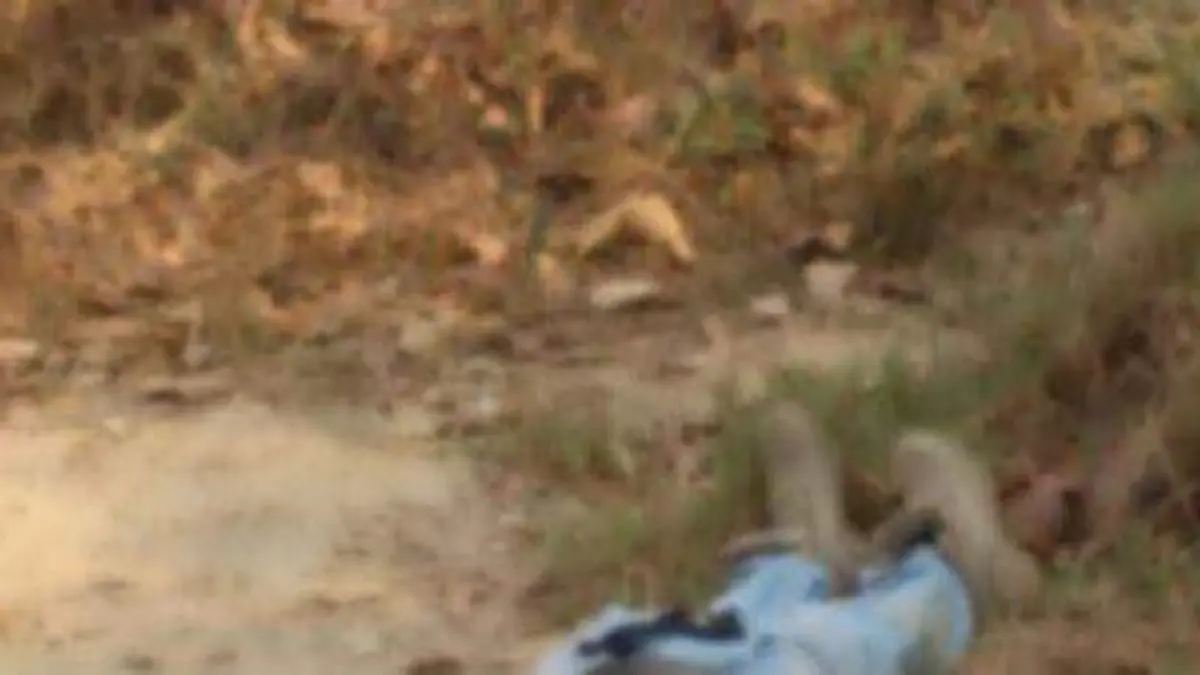 2f26e098-586c-42b8-88e2-5a5454b298bd