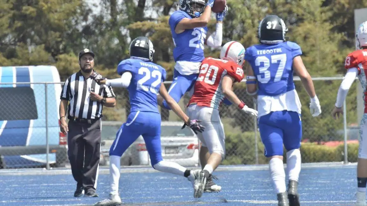 Conadeip1