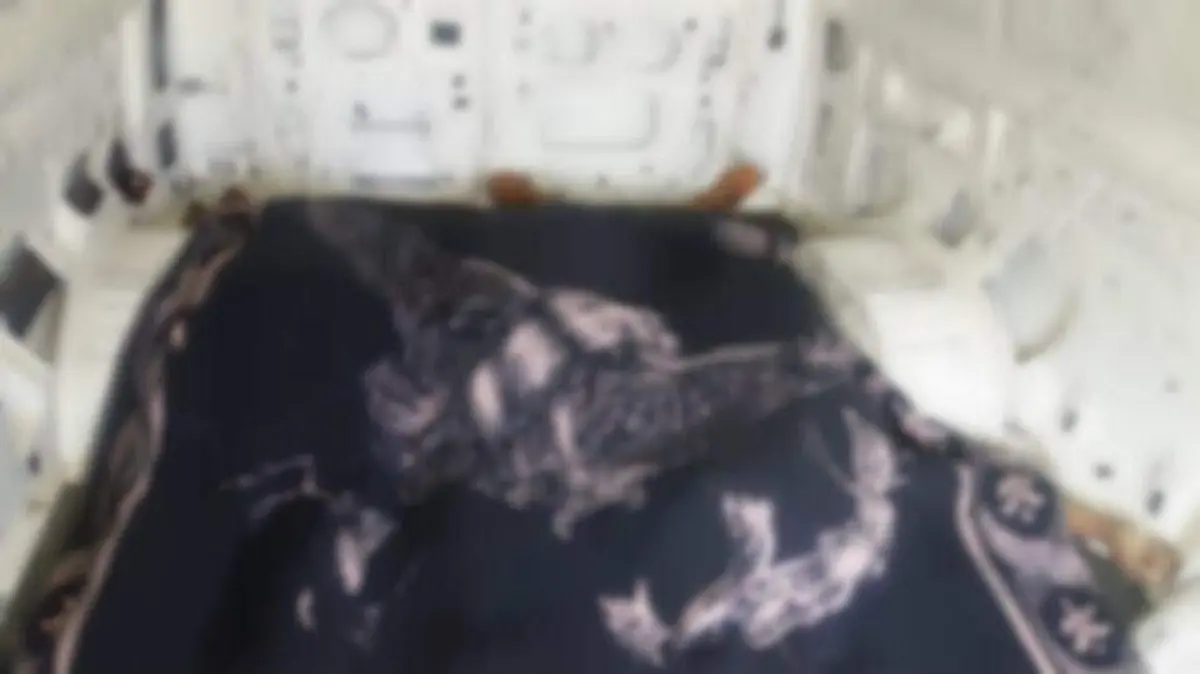 WhatsApp Image 2018-11-08 at 10