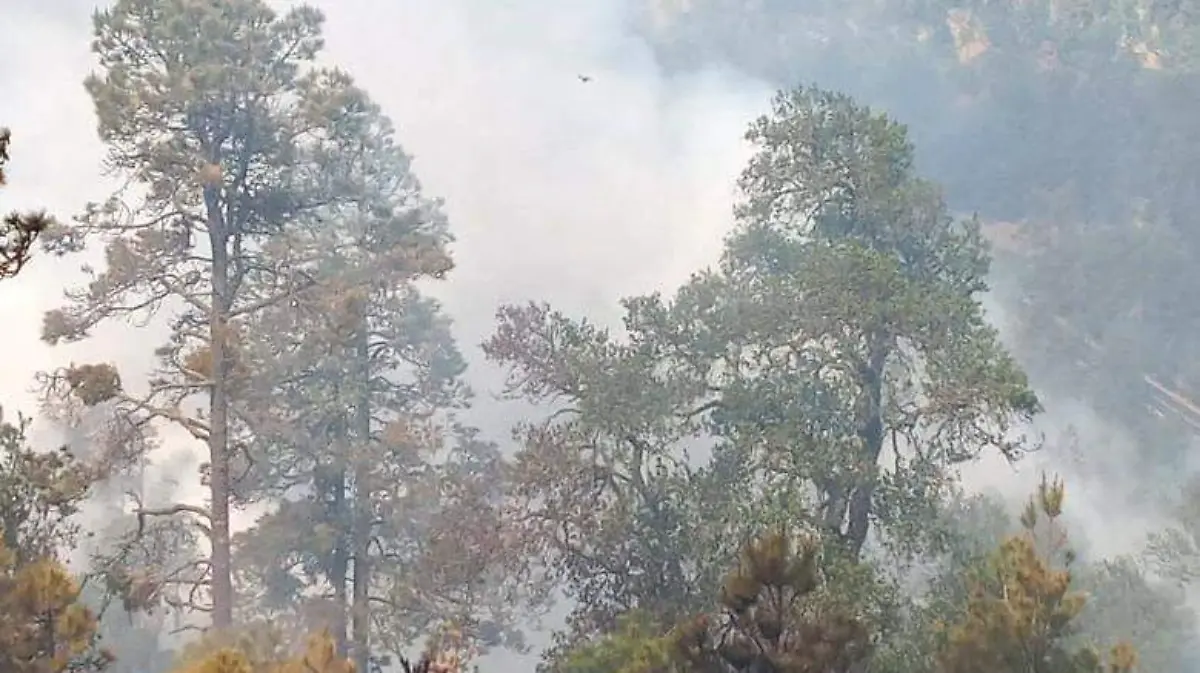 87fb0ace-9ec8-4f06-b03b-83ebd7f7ea6b