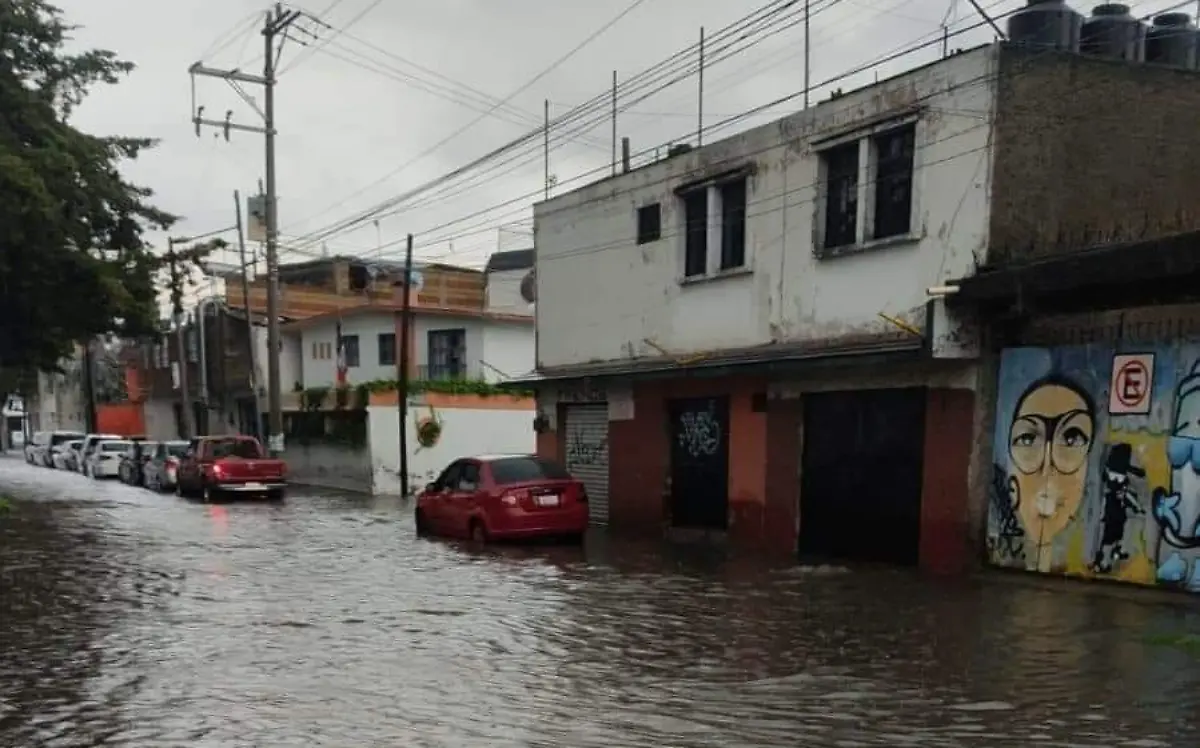 FB_IMG_1666492623132