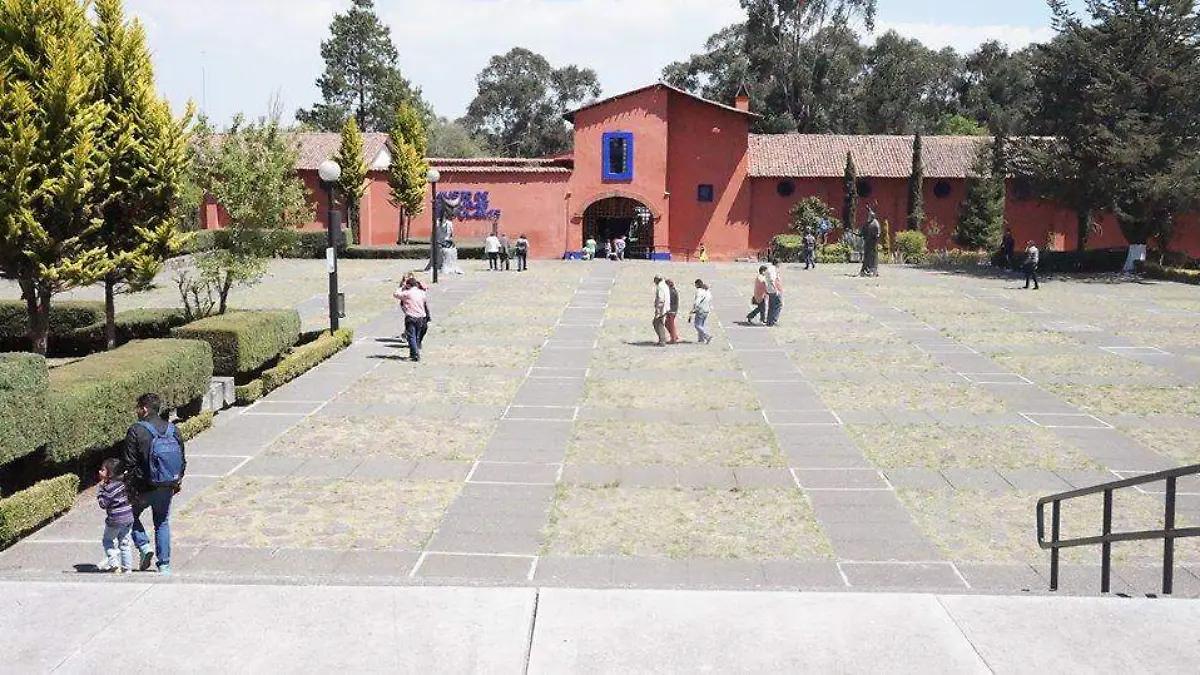 actividades culturales (4)