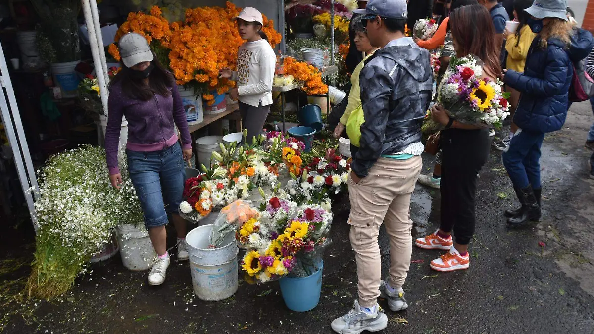 6fdd5ba5-38a1-4963-874e-ac137c7d1faa