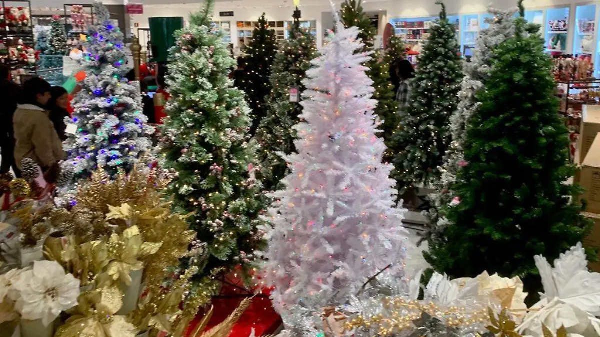 Artículos Navideños 2