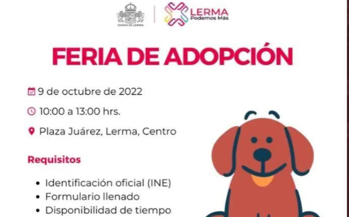 WhatsApp Image 2022-10-08 at 11.57.56